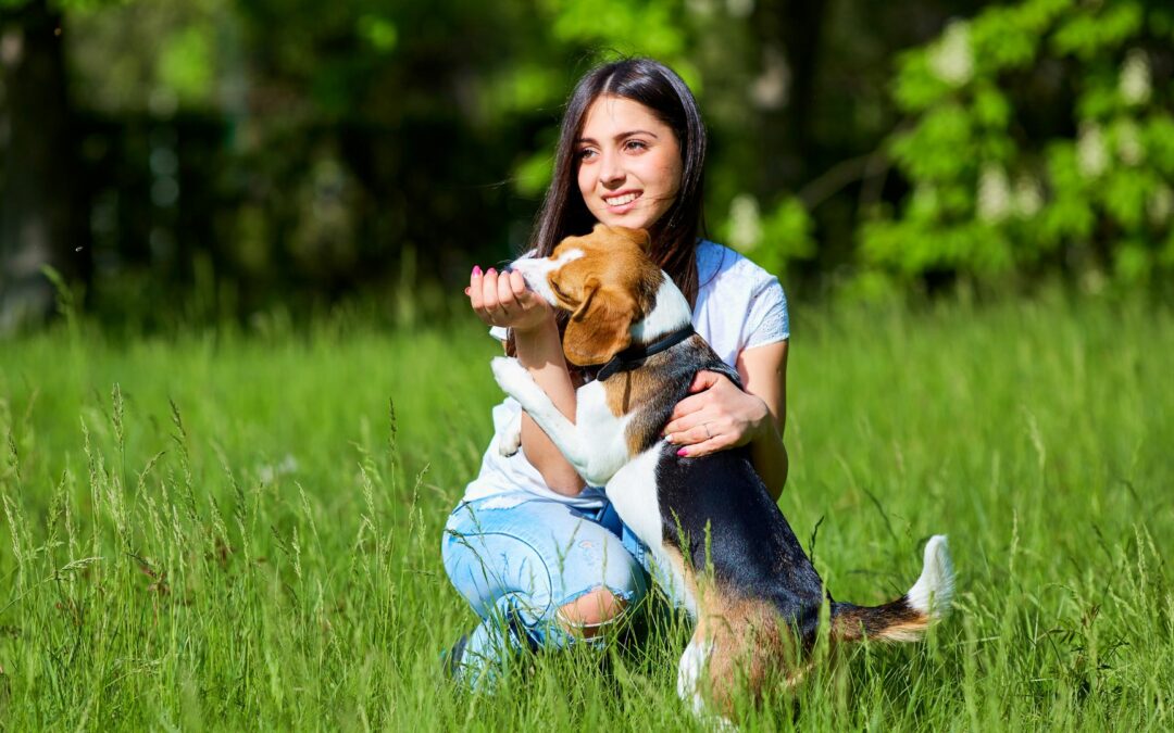 Die richtige Fütterungsempfehlung für deinen Hund an Sommertagen